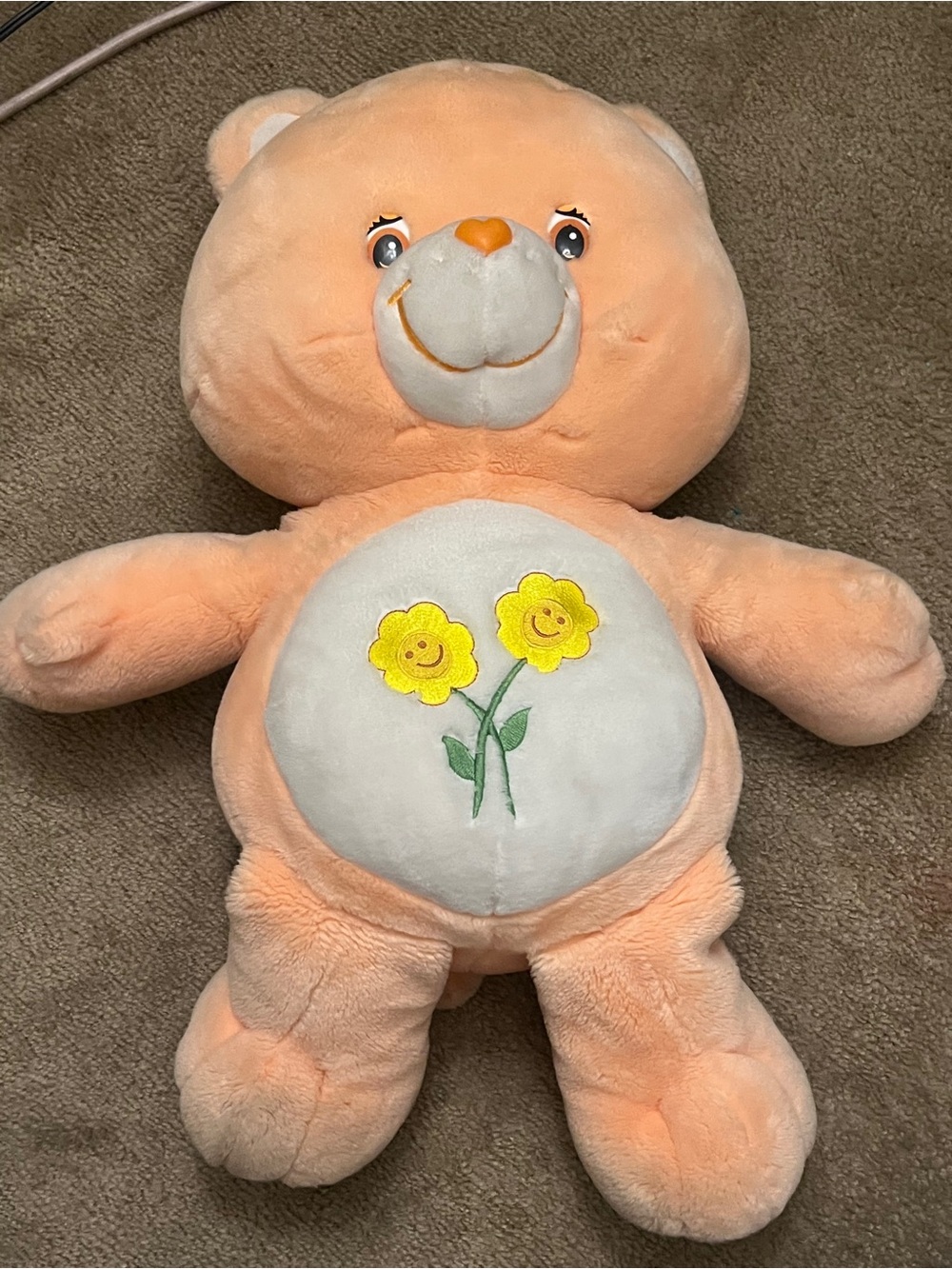 Care Bears Friend Bear 2004 Vintage Tall